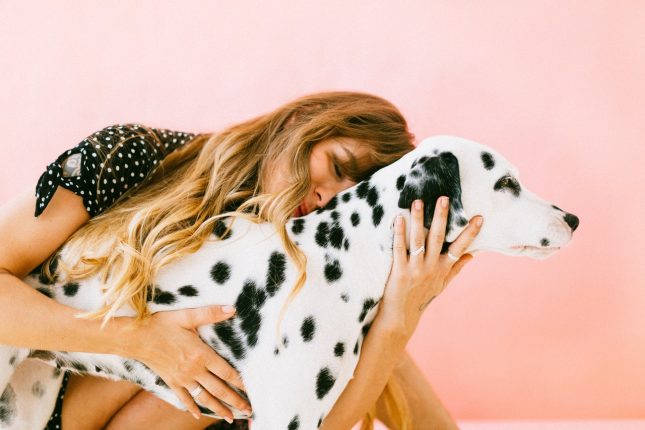 10 razze di cane di taglia media da tenere in appartamento