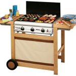 Barbecue Adelaide Woody di Campingaz