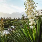 Giardini Sissi Merano serate estive 2016