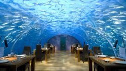 Ristorante Ithaa Maldive