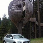 Redwoods Restaurant Nuova Zelanda