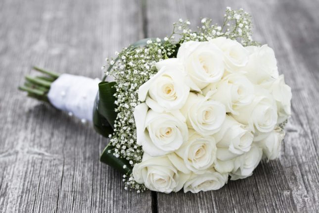 Rose bianche