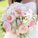 Pale Dogwood di Martha
