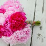 Yarrow by floret cadet