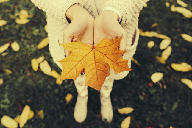 Frasi autunno