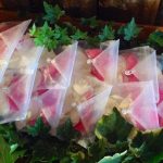 Colore pink yarrow