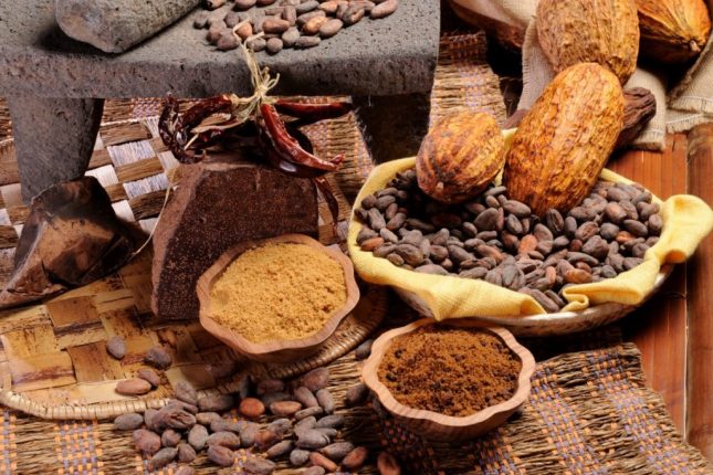 Chocomodica