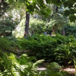 Orto botanico di Brera a Milano