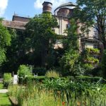 Orto botanico di Brera a Milano