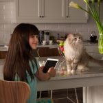 Una vita da gatto