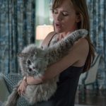 Una vita da gatto