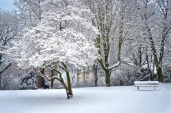 Inverno: frasi, aforismi e citazioni