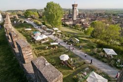 Lonato Fiori nella Rocca