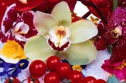 Marc Quinn Thor in Nenga 2009 Olio su tela, 170x270 cm Courtesy: Fama Projects, Verona