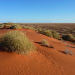 Simpson Desert, Queensland, Australia