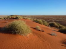Simpson Desert, Queensland, Australia
