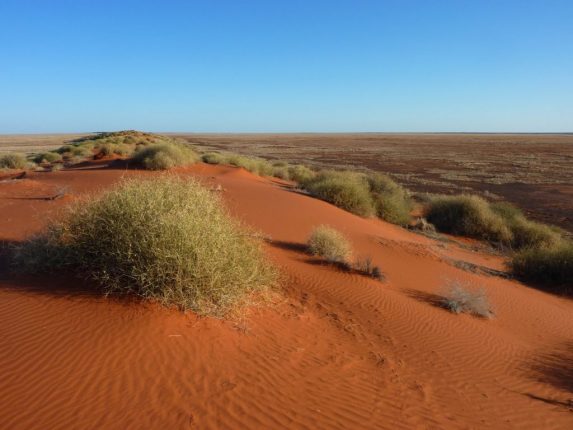 Simpson Desert, Queensland, Australia
