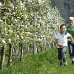 Festa della fioritura. Associazione turistica Lana e dintorni