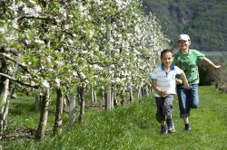 Festa della fioritura. Associazione turistica Lana e dintorni