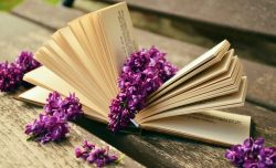 Frasi, citazioni e aforismi di Paulo Coelho