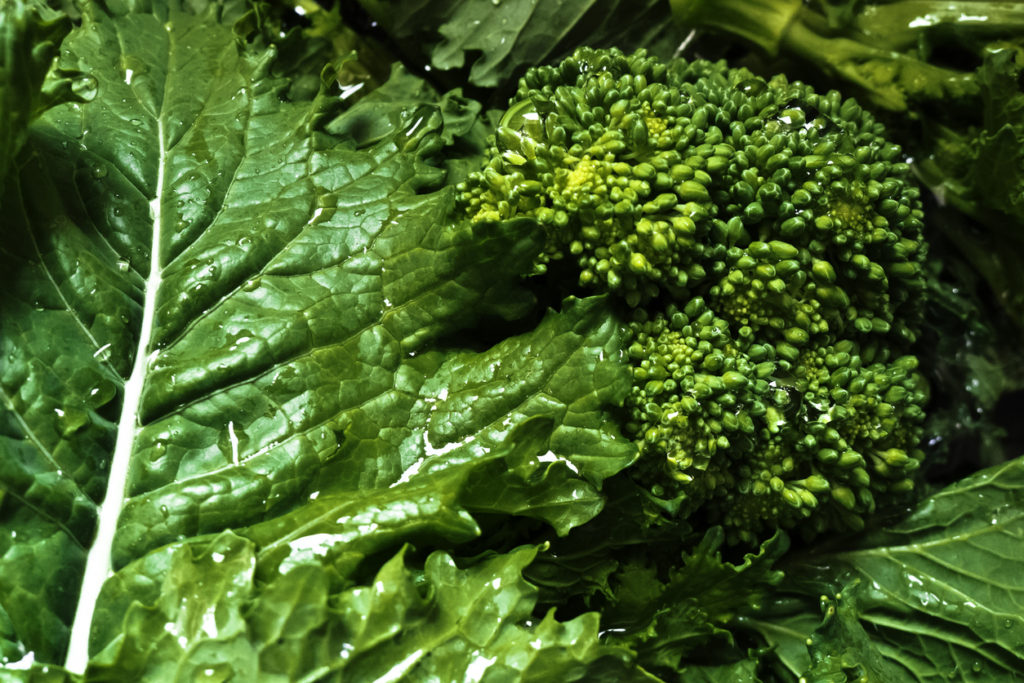 Cime Di Rapa Bollite Unadonna