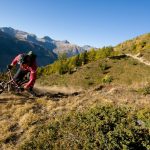 Mountain bike