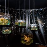Mostra Our Place in The Space