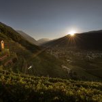 Vigneti Valtellina_Previsdomini
