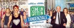 Film Come un gatto in tangenziale