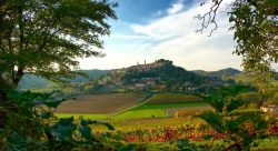 Rosignano Monferrato Hill