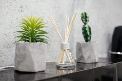 Profumatore fatto in casa 100% green