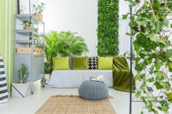 Giardino verticale: qualche consiglio
