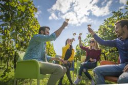 Festival Franciacorta in Cantina 2018