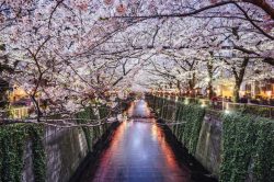 Scoprendo Tokyo