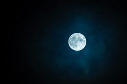Luna concepimento