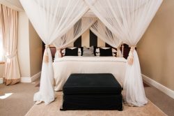 Letto a baldacchino: alcuni buoni motivi per sceglierlo