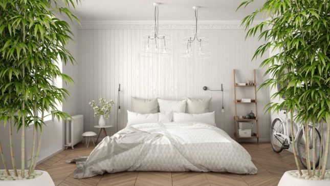 Feng Shui: errori da evitare nell'arredamento