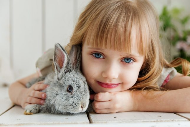 Bambini e animali: 5 motivi per accogliere un cucciolo in famiglia