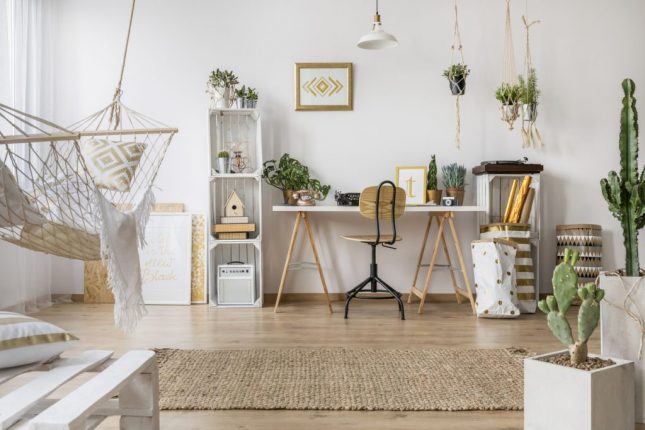 5 piante che riducono l'inquinamento domestico