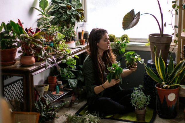 Un giardino in casa!