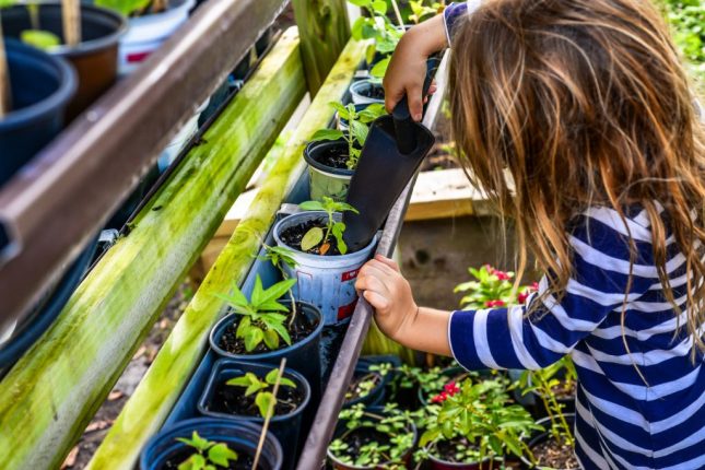 Orto e bambini: binomio vincente