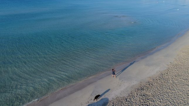 Punta Prosciutto