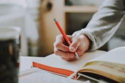 Sospensione in giudizio: come affrontarla e recuperare
