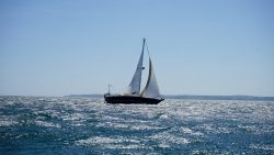 Scala Beaufort per vento e mare: come leggere i dati