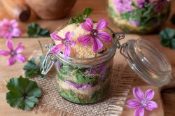 Malva e mal di denti: il rimedio della nonna