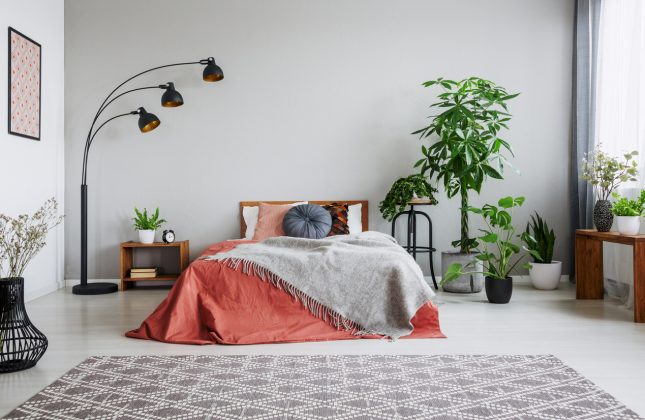 Le piante perfette per la camera da letto, ecco quali