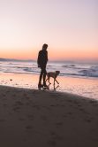 Laghi con spiagge balneabili anche per cani