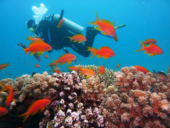 Spiagge e barriera corallina: dove fare immersioni