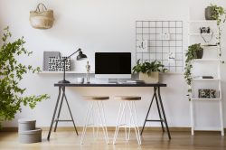 3 idee per un tocco green al tuo angolo studio