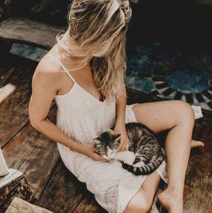Gatti e gravidanza, le cose da sapere